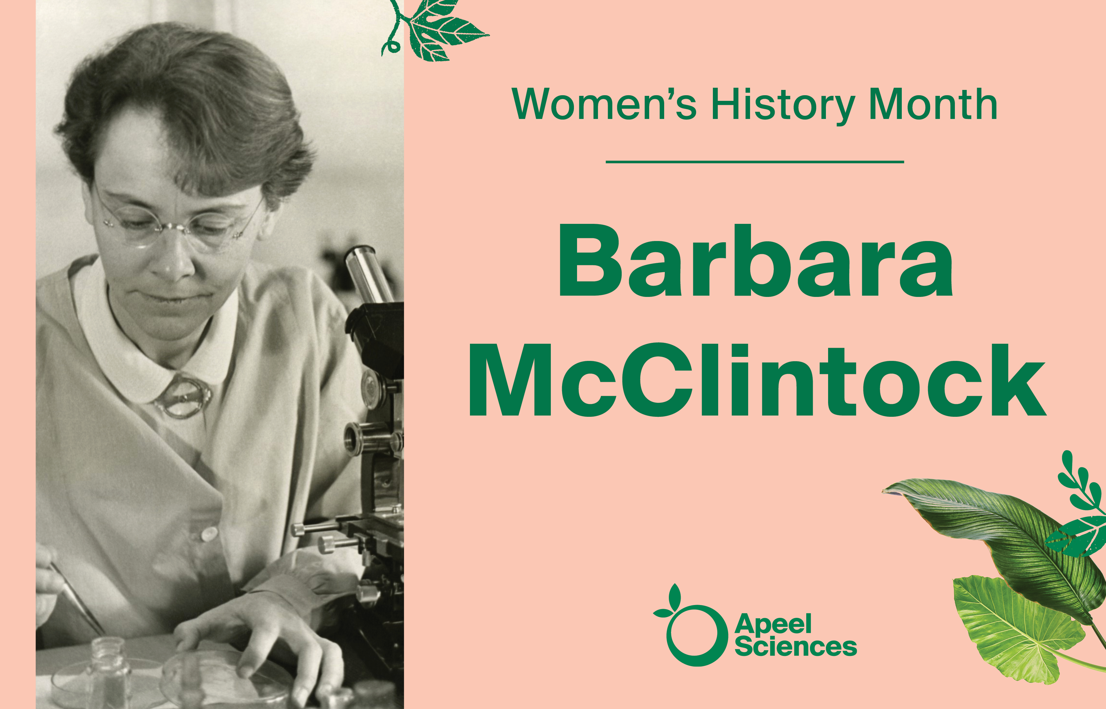 Women's History Month: Barbara McClintock